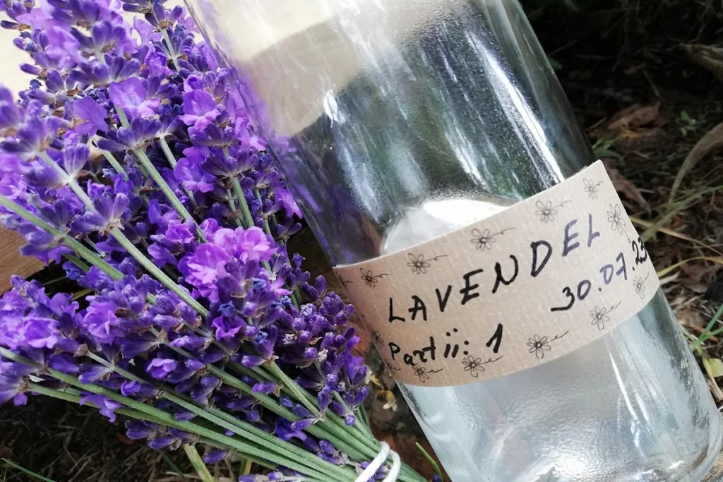 tühi lavendliõli pudel ja lillade õitega lavendlikimp